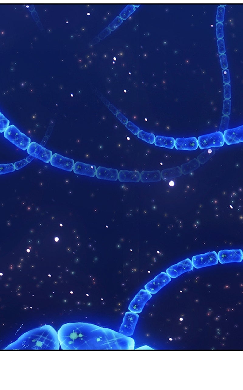 Read +99 Reinforced Wooden Stick ENGLISH Manga Online