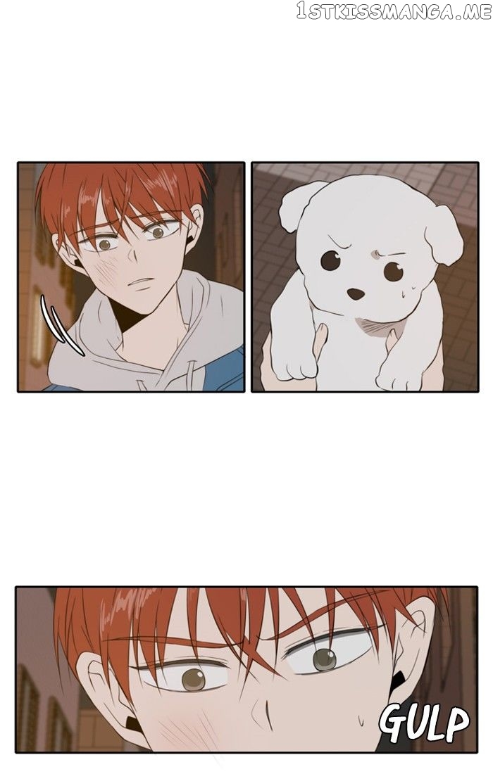 Read A Good Day to Be a Dog ENGLISH Manga Online