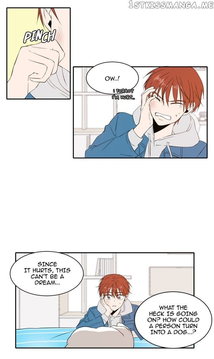 Read A Good Day to Be a Dog ENGLISH Manga Online