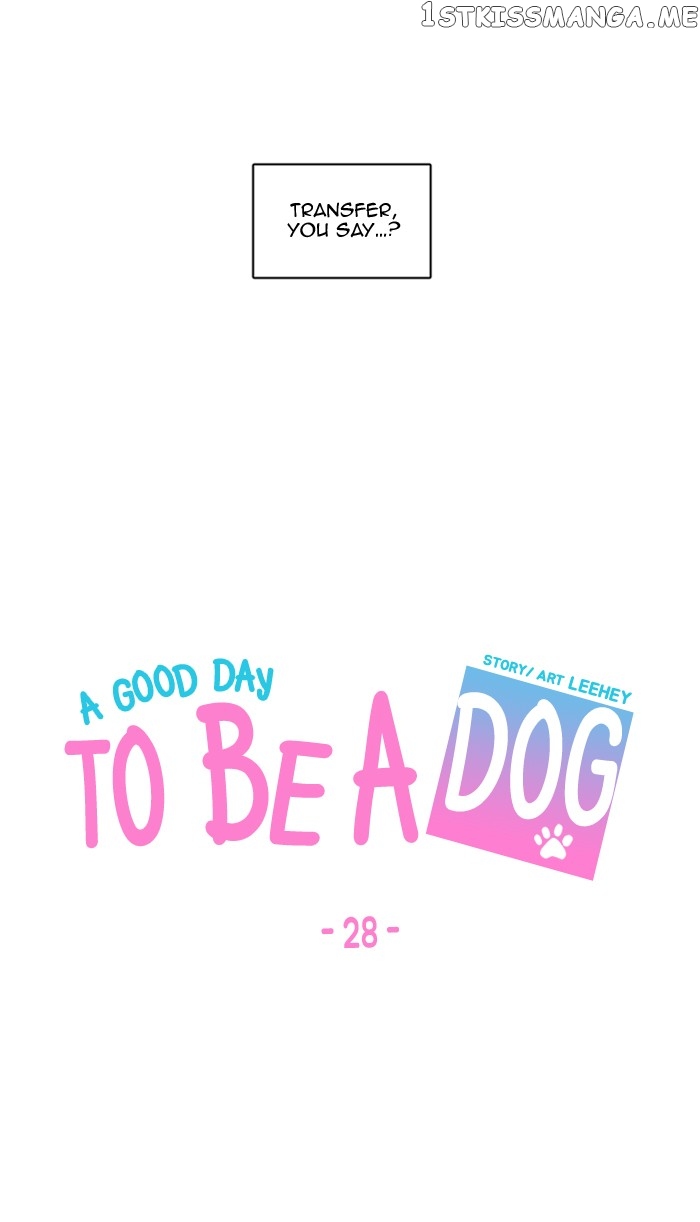 Read A Good Day to Be a Dog ENGLISH Manga Online