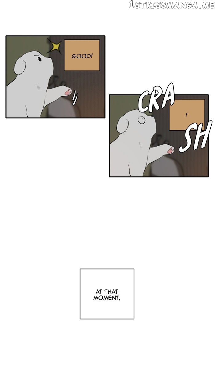 Read A Good Day to Be a Dog ENGLISH Manga Online