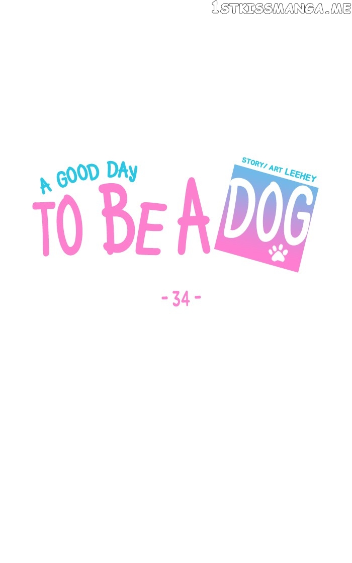 Read A Good Day to Be a Dog ENGLISH Manga Online