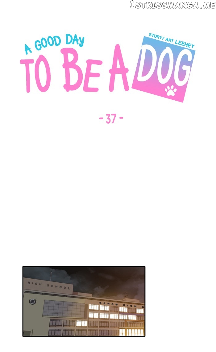 Read A Good Day to Be a Dog ENGLISH Manga Online