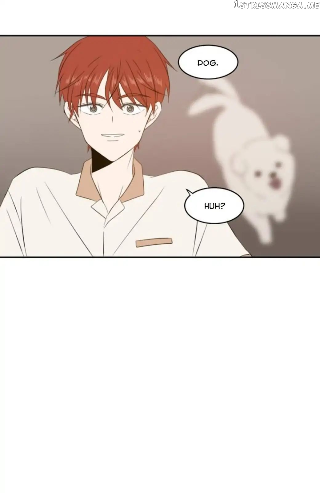 Read A Good Day to Be a Dog ENGLISH Manga Online