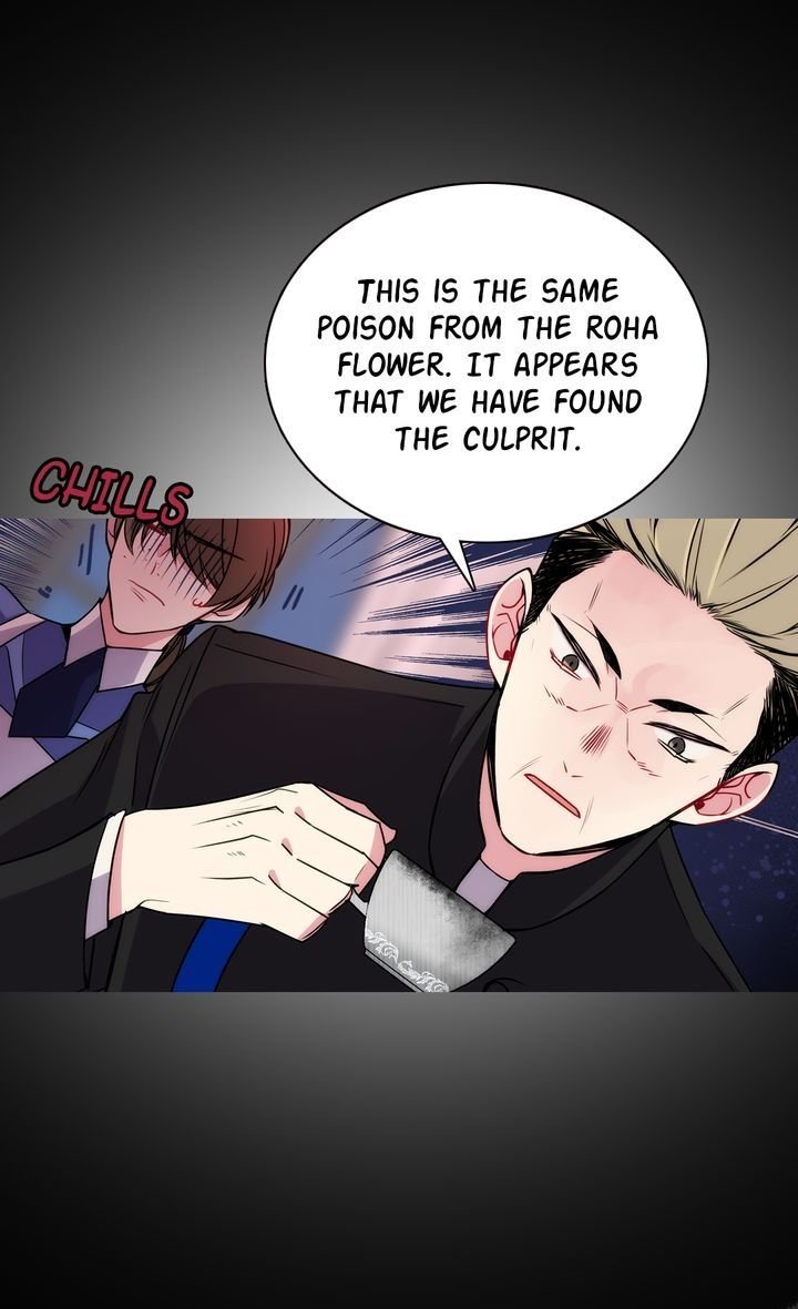 Read Adelaide ENGLISH Manga Online