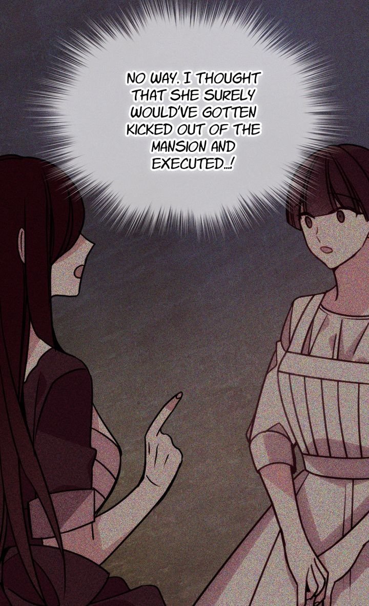 Read Adelaide ENGLISH Manga Online