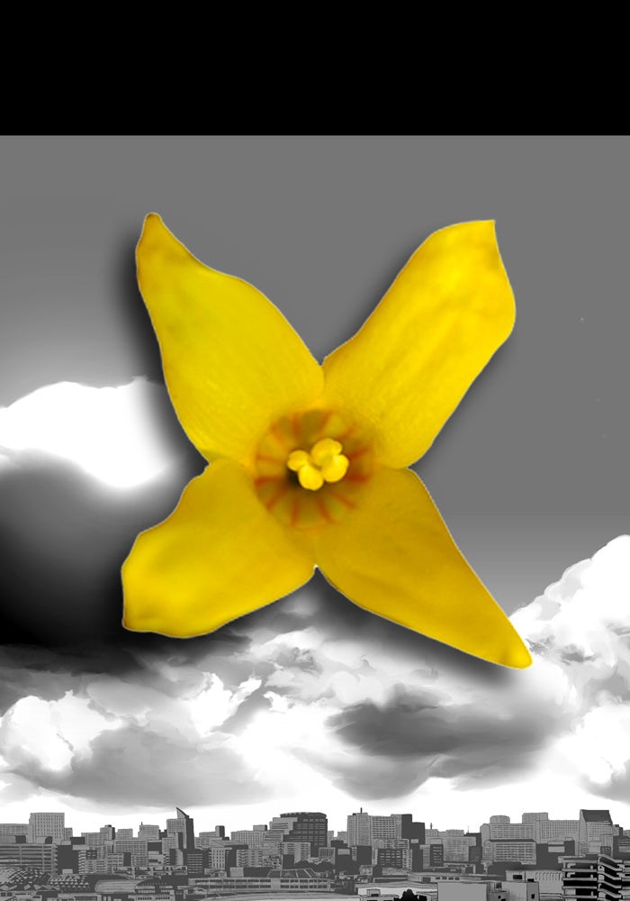 Read Annarasumanara ENGLISH Manga Online