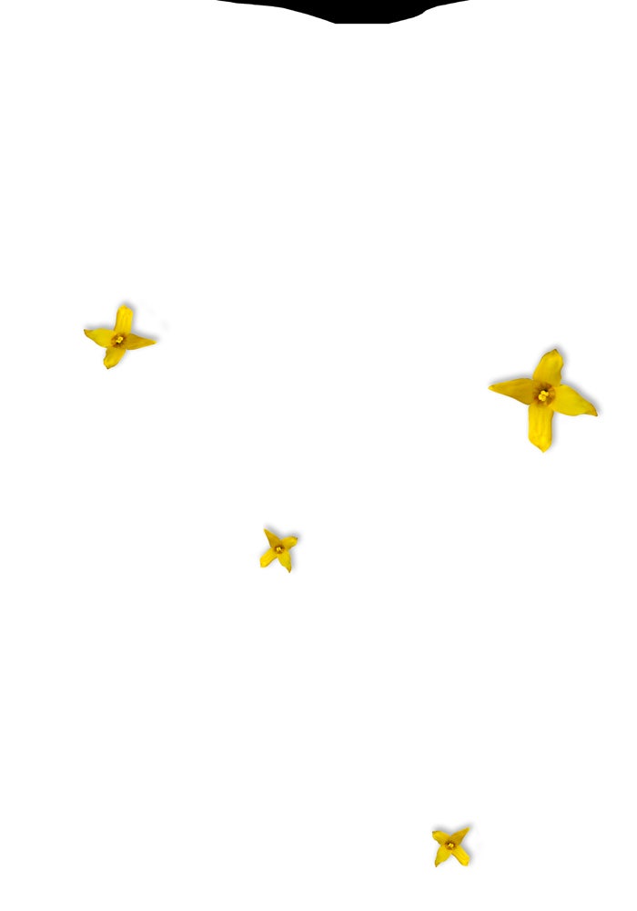 Read Annarasumanara ENGLISH Manga Online