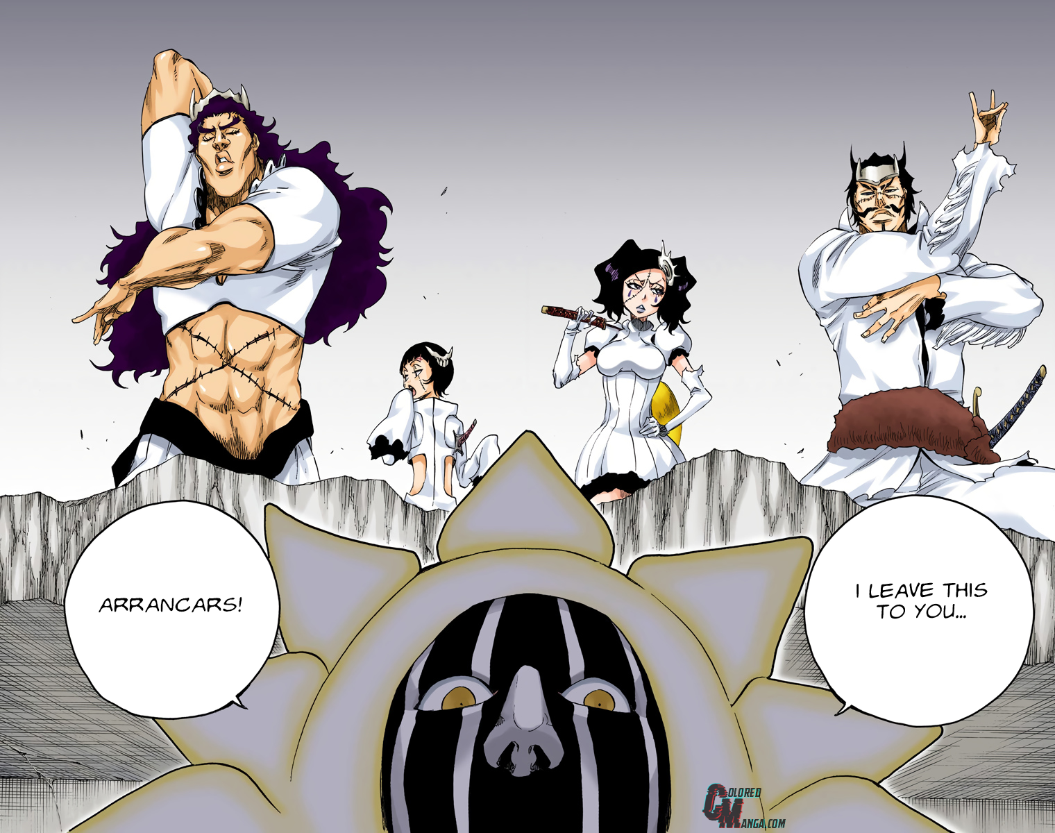 Read Bleach (Colored) ENGLISH Manga Online