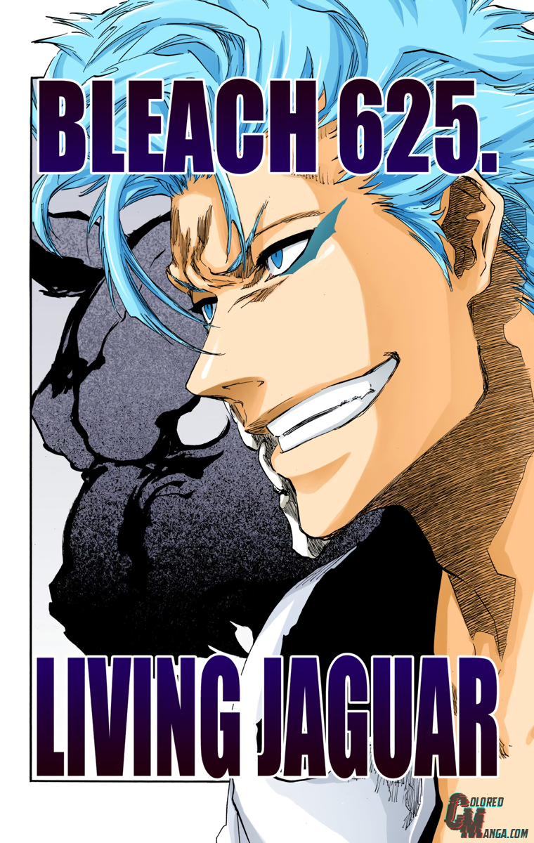 Read Bleach (Colored) ENGLISH Manga Online