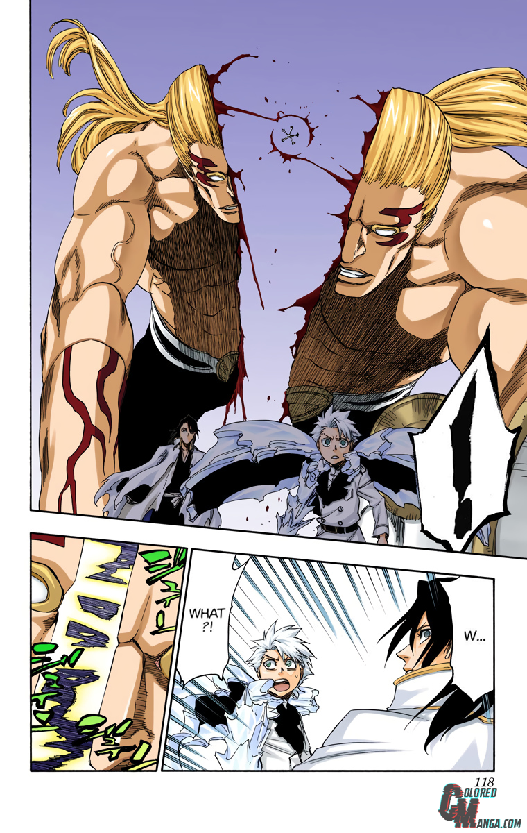 Read Bleach (Colored) ENGLISH Manga Online