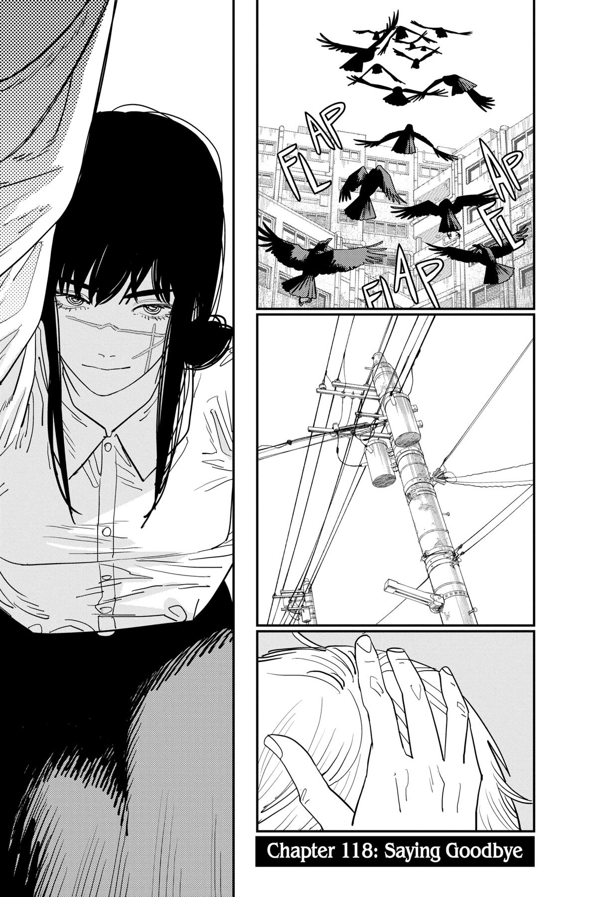 Read Chainsaw Man ENGLISH Manga Online
