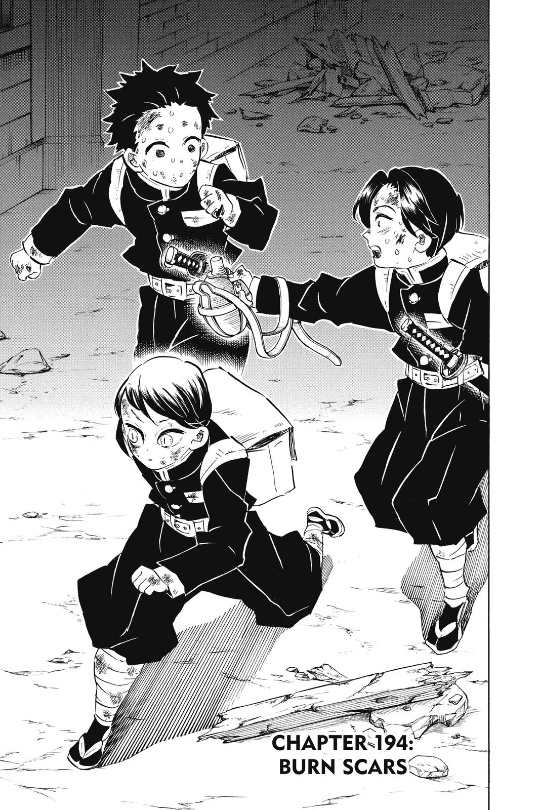 Read Demon Slayer Kimetsu no Yaiba ENGLISH Manga Online