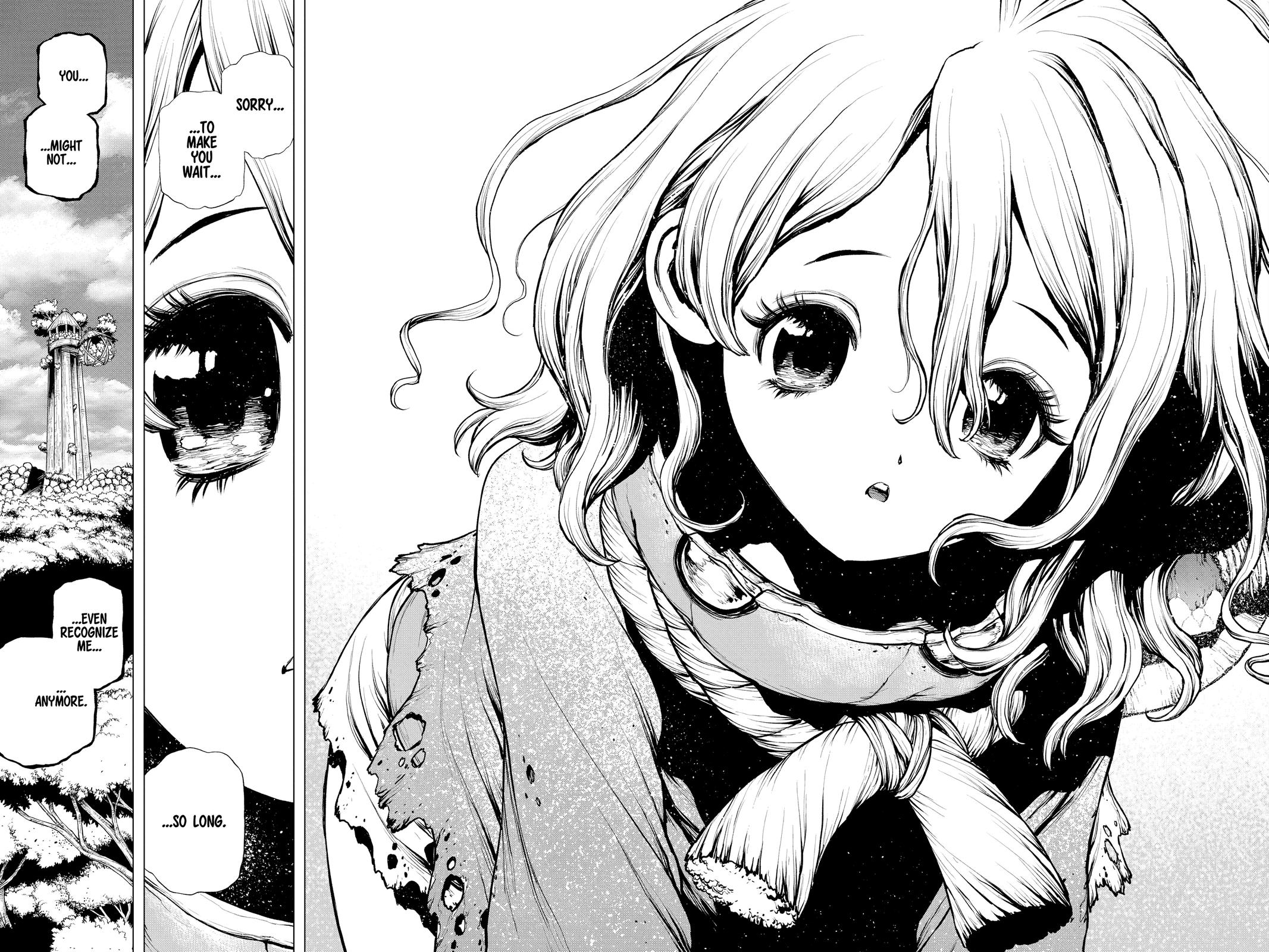 Read Dr. STONE ENGLISH Manga Online