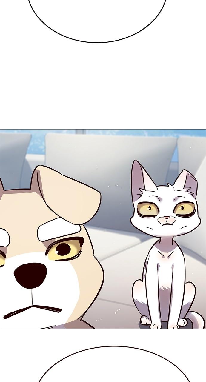 Read Eleceed ENGLISH Manga Online