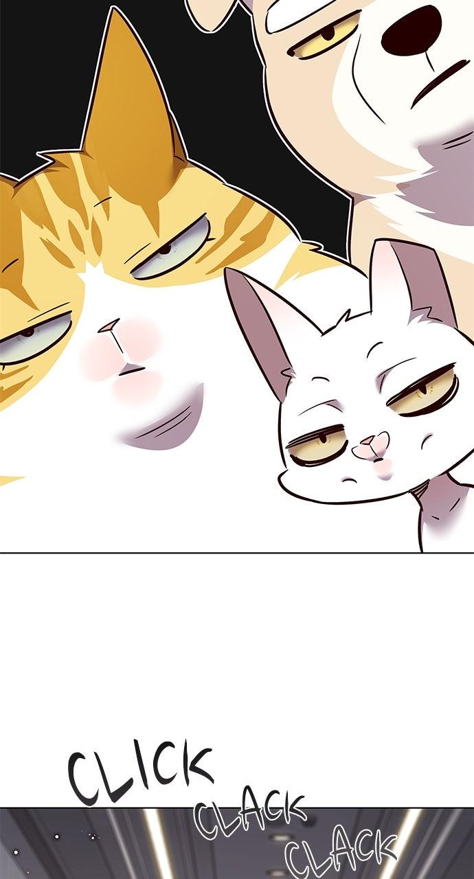 Read Eleceed ENGLISH Manga Online