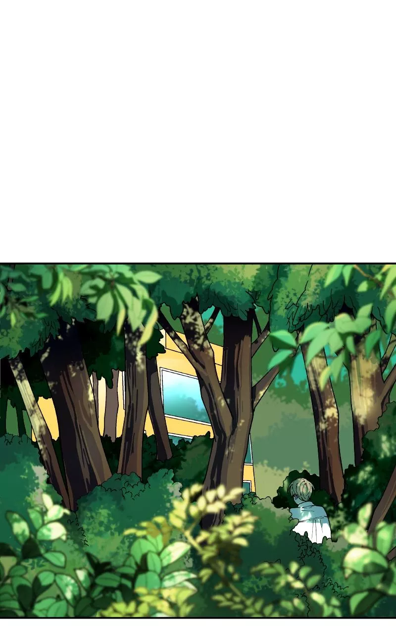 Read False Paradise ENGLISH Manga Online