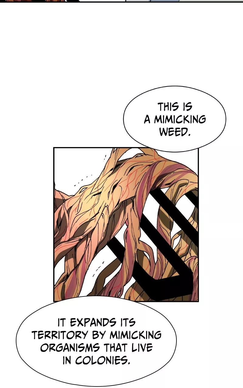 Read False Paradise ENGLISH Manga Online