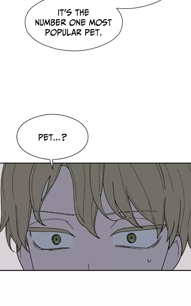 Read False Paradise ENGLISH Manga Online