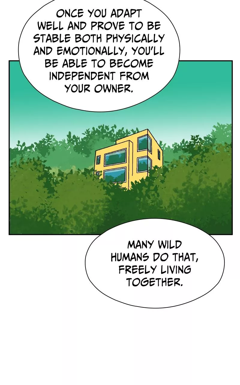 Read False Paradise ENGLISH Manga Online