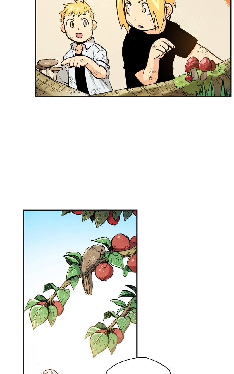 Read Fullmetal Alchemist ENGLISH Manga Online