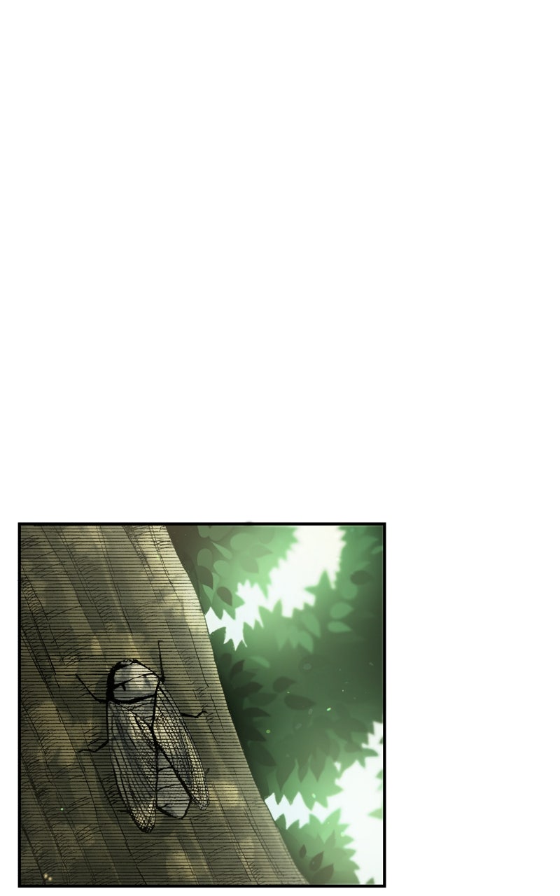 Read Fullmetal Alchemist ENGLISH Manga Online