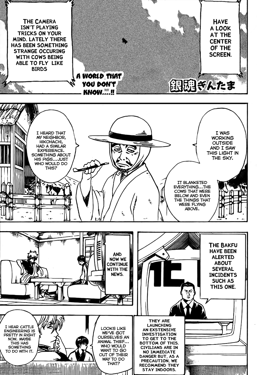 Read Gintama ENGLISH Manga Online