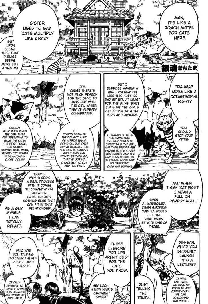 Read Gintama ENGLISH Manga Online