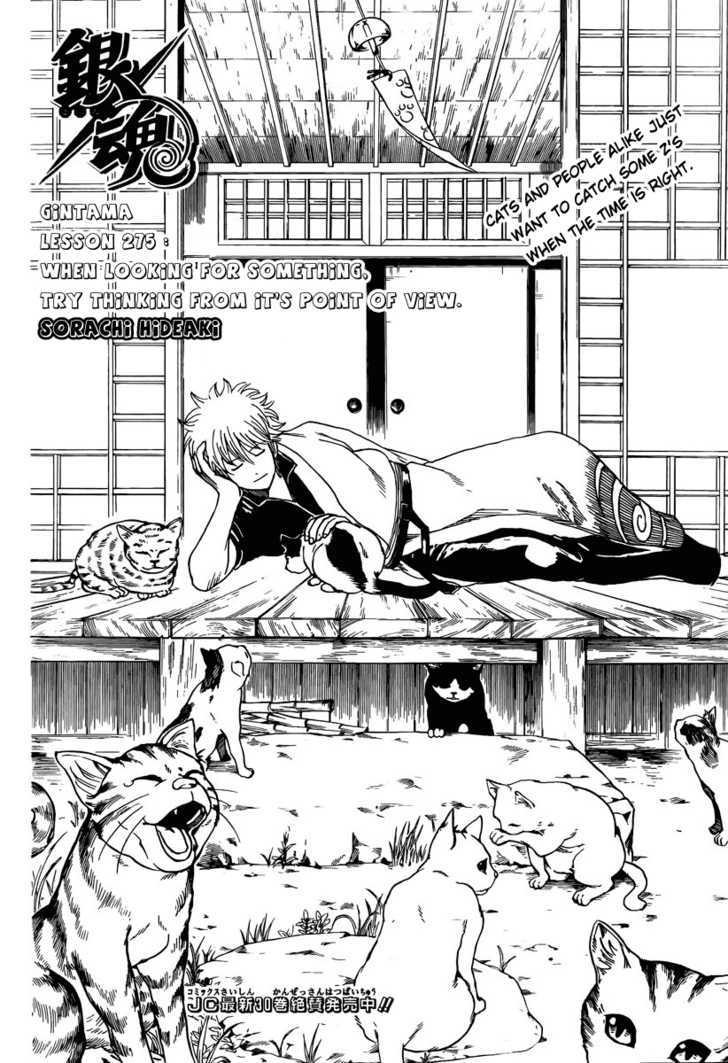 Read Gintama ENGLISH Manga Online