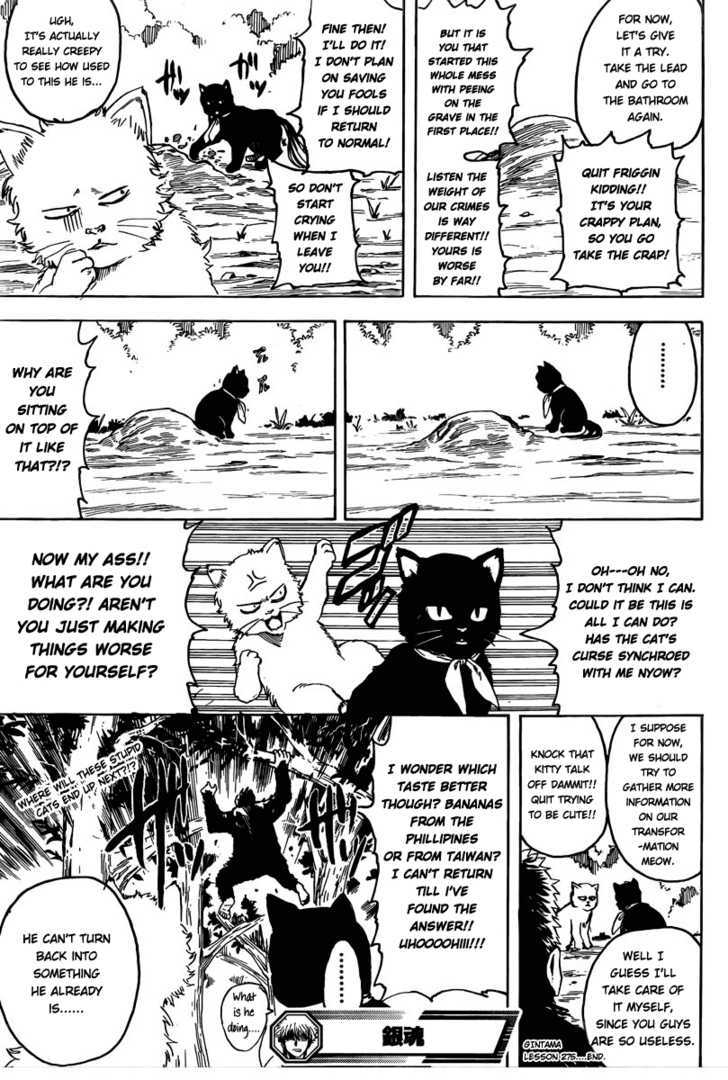 Read Gintama ENGLISH Manga Online