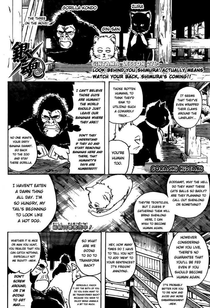 Read Gintama ENGLISH Manga Online