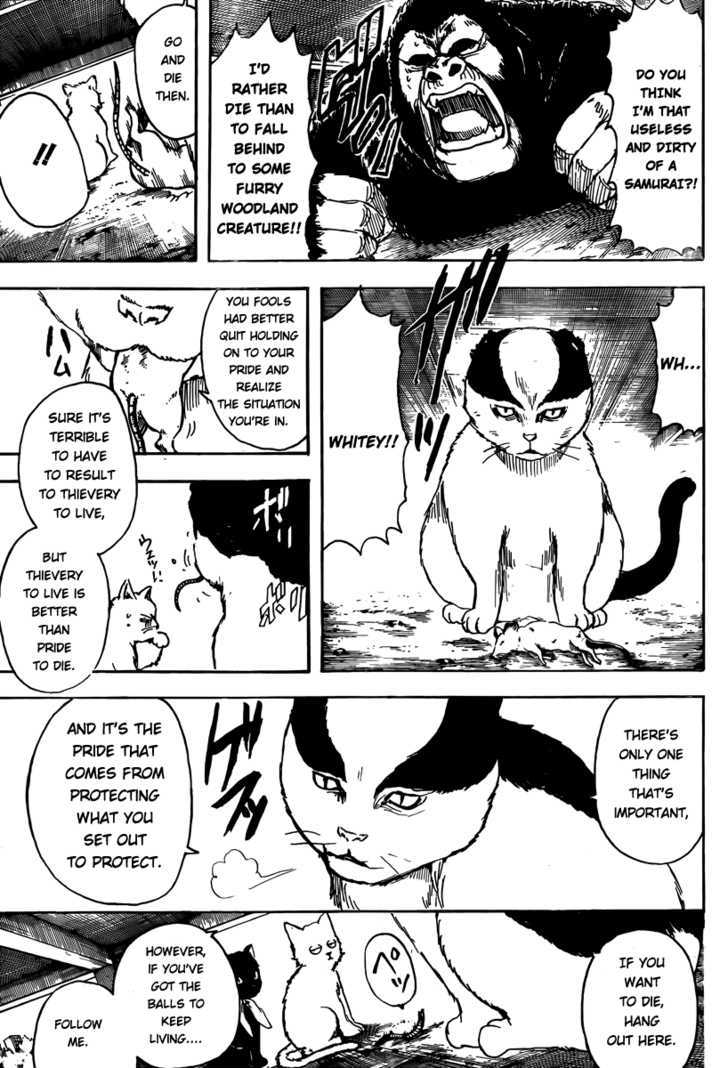 Read Gintama ENGLISH Manga Online