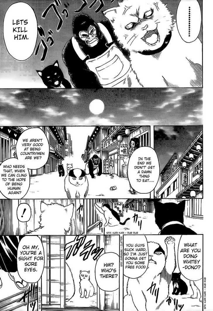 Read Gintama ENGLISH Manga Online