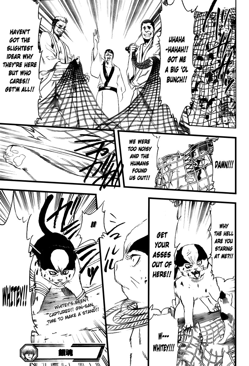 Read Gintama ENGLISH Manga Online