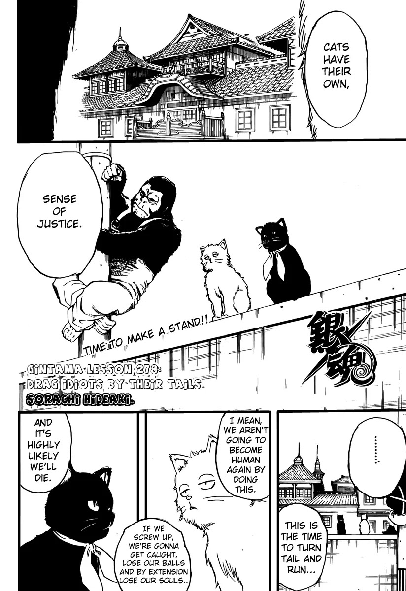 Read Gintama ENGLISH Manga Online