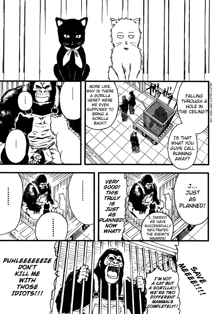 Read Gintama ENGLISH Manga Online