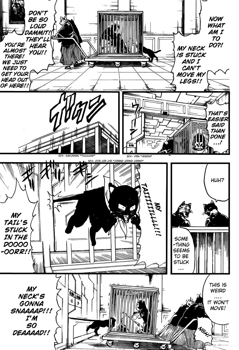 Read Gintama ENGLISH Manga Online