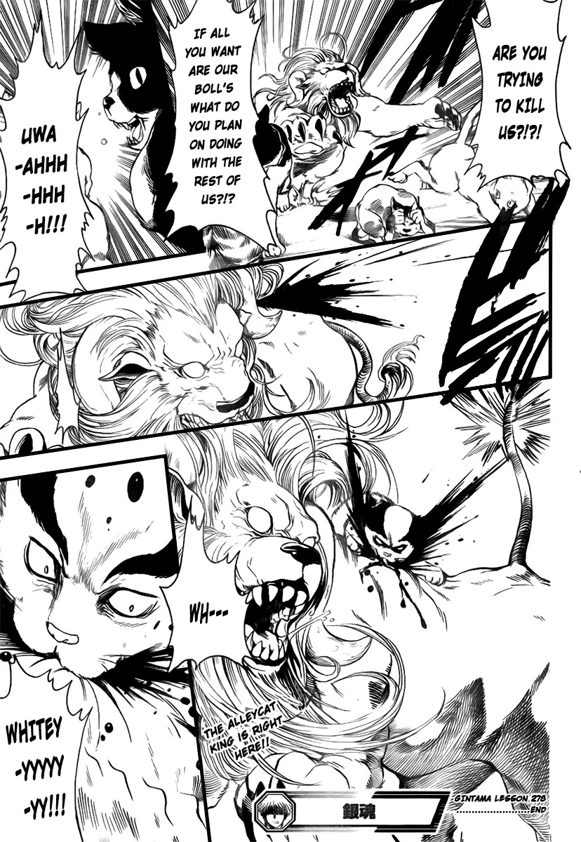 Read Gintama ENGLISH Manga Online