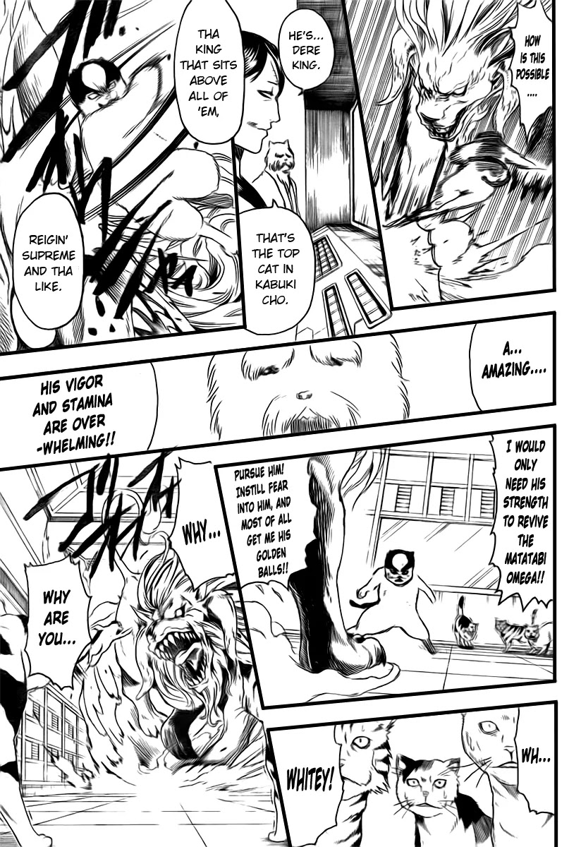 Read Gintama ENGLISH Manga Online