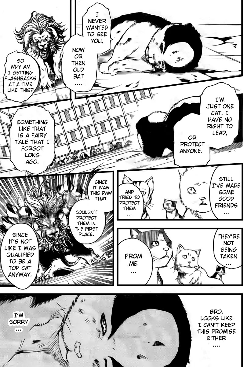 Read Gintama ENGLISH Manga Online