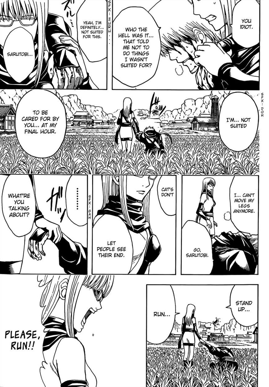 Read Gintama ENGLISH Manga Online