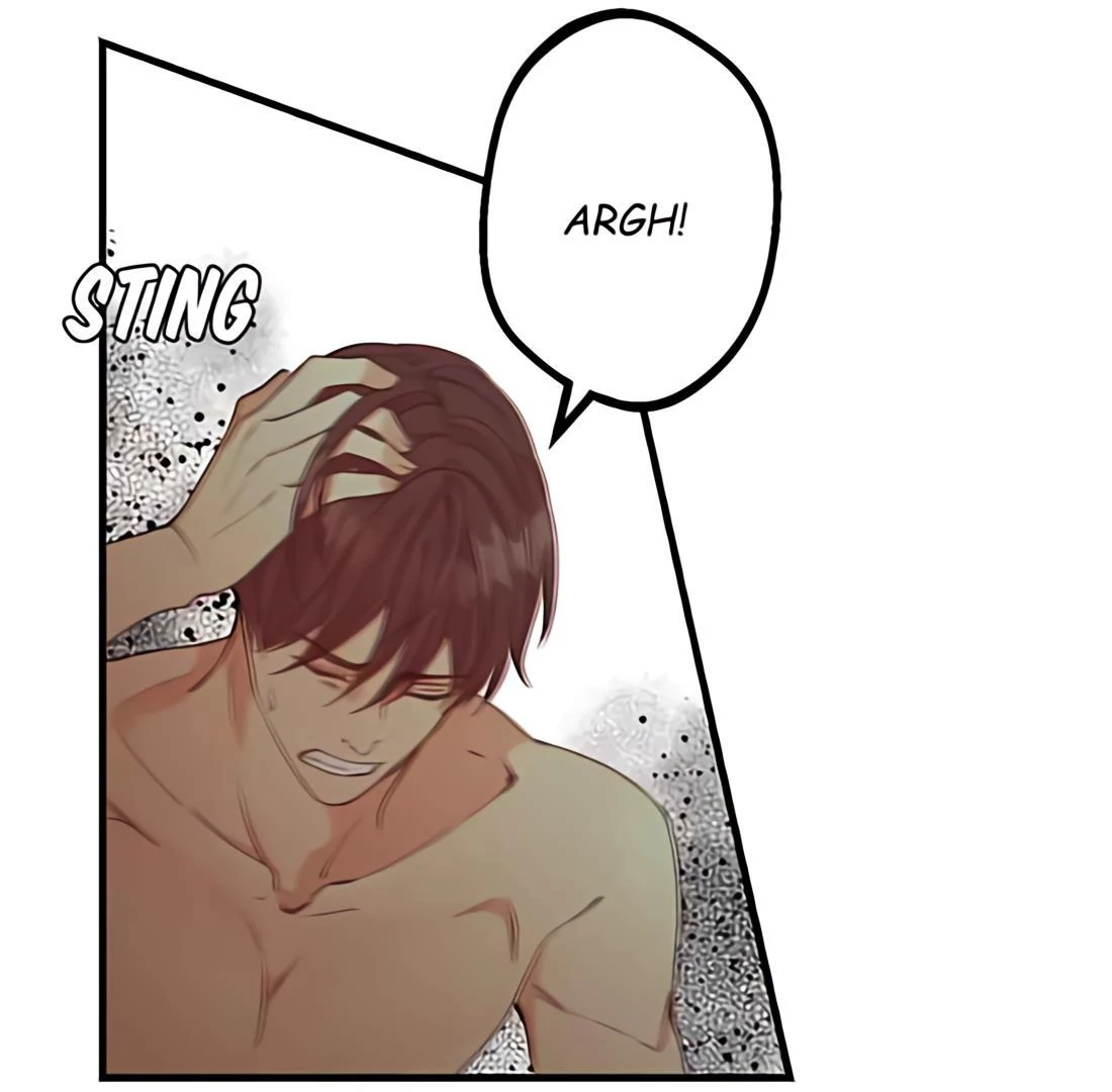 Read My Lovely Bodyguard ENGLISH Manga Online