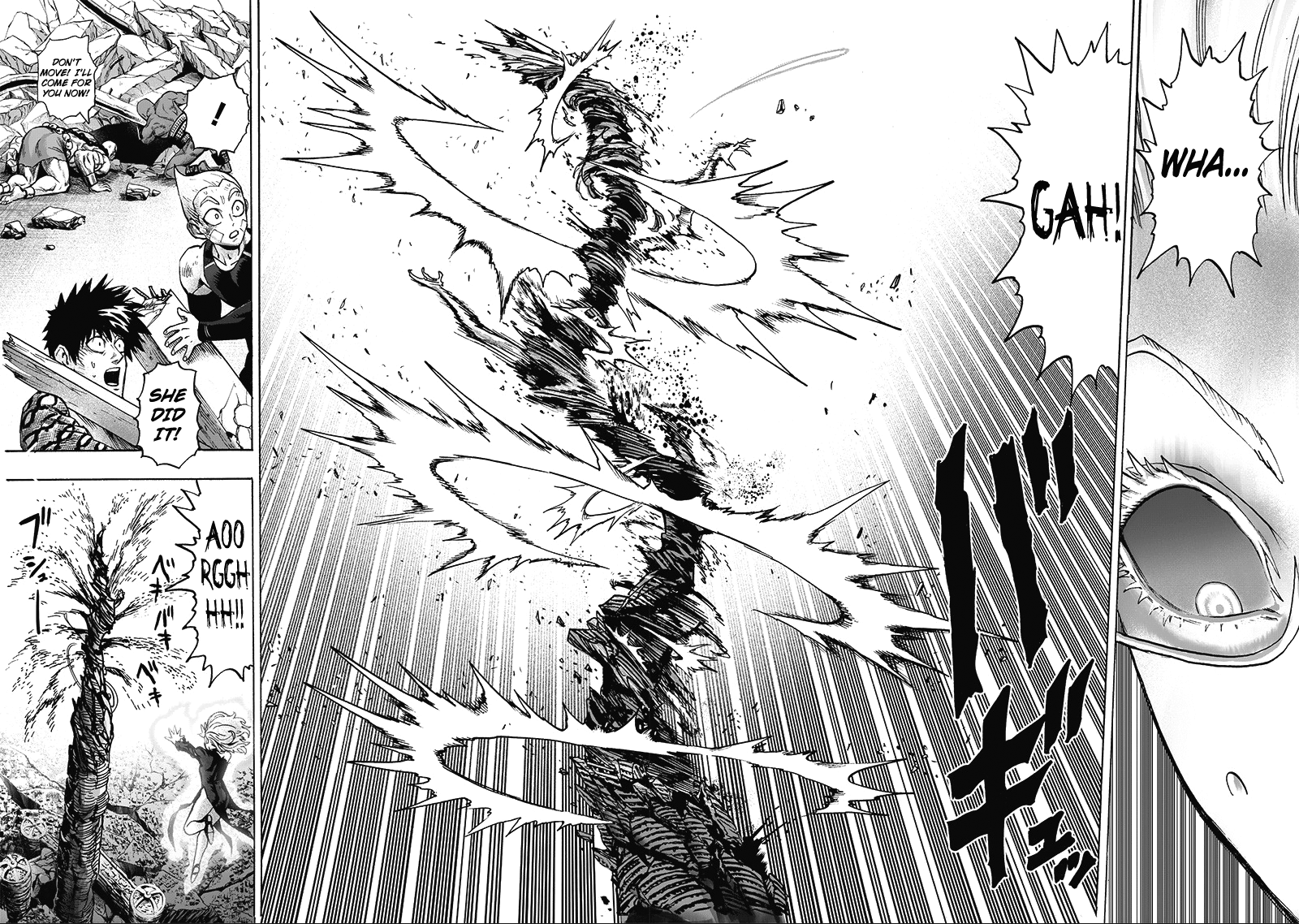 Read One-Punch Man ENGLISH Manga Online