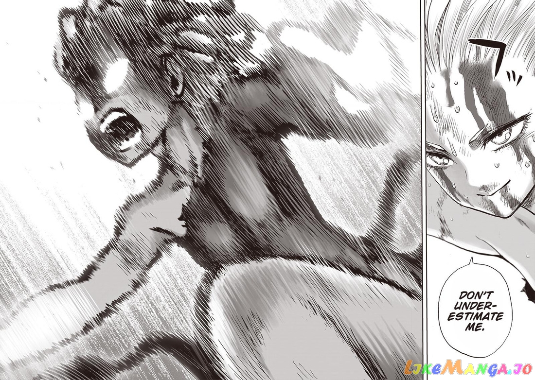 Read One-Punch Man ENGLISH Manga Online