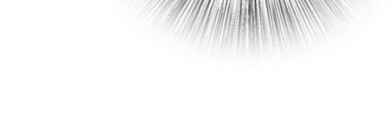 Read Release That Witch ENGLISH Manga Online