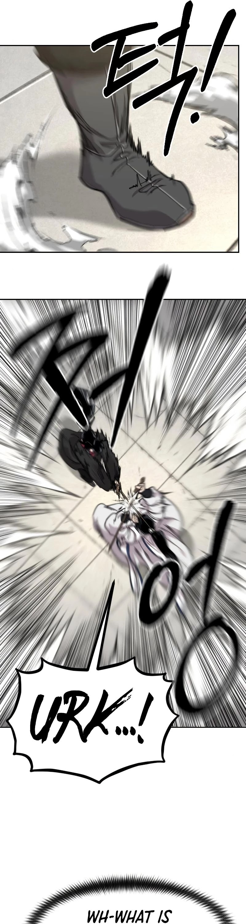 Read Return of the Mount Hua Sect ENGLISH Manga Online