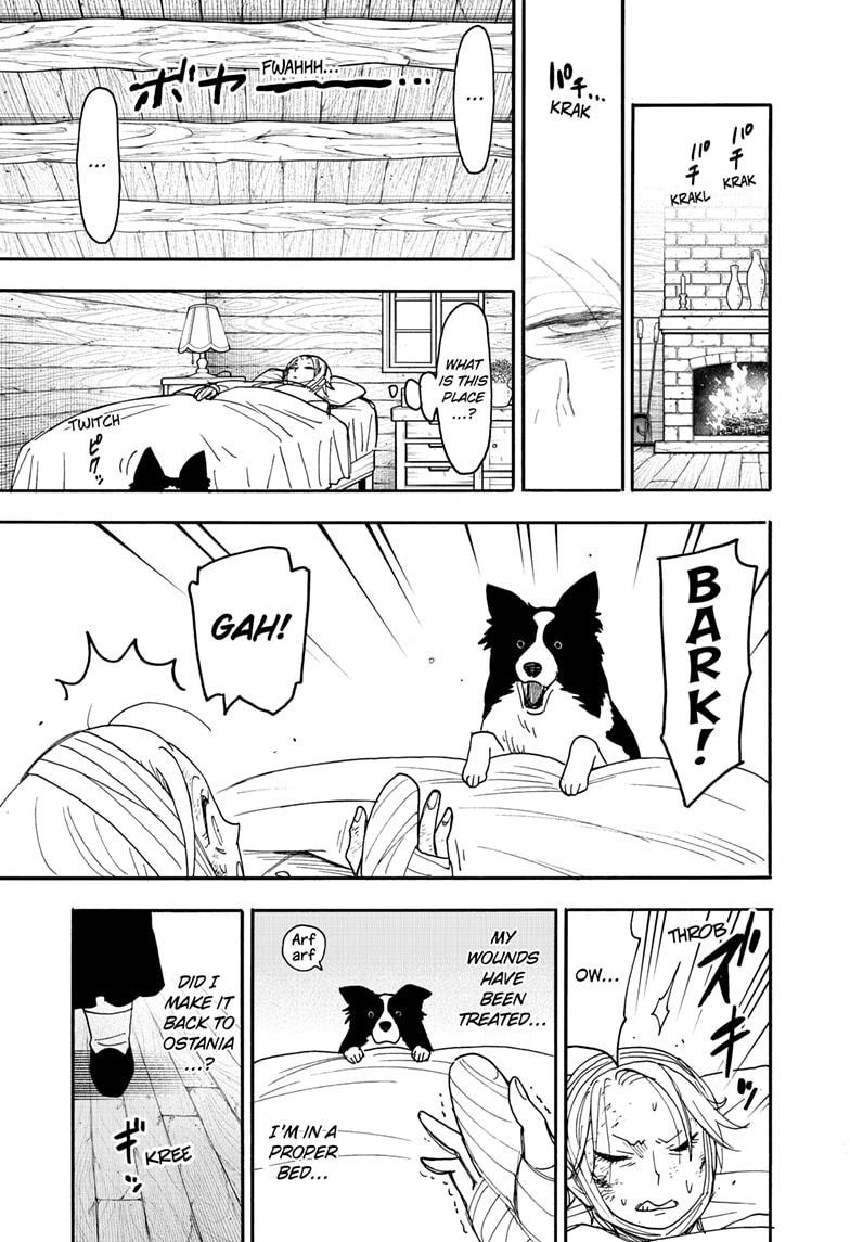 Read Spy x Family ENGLISH Manga Online