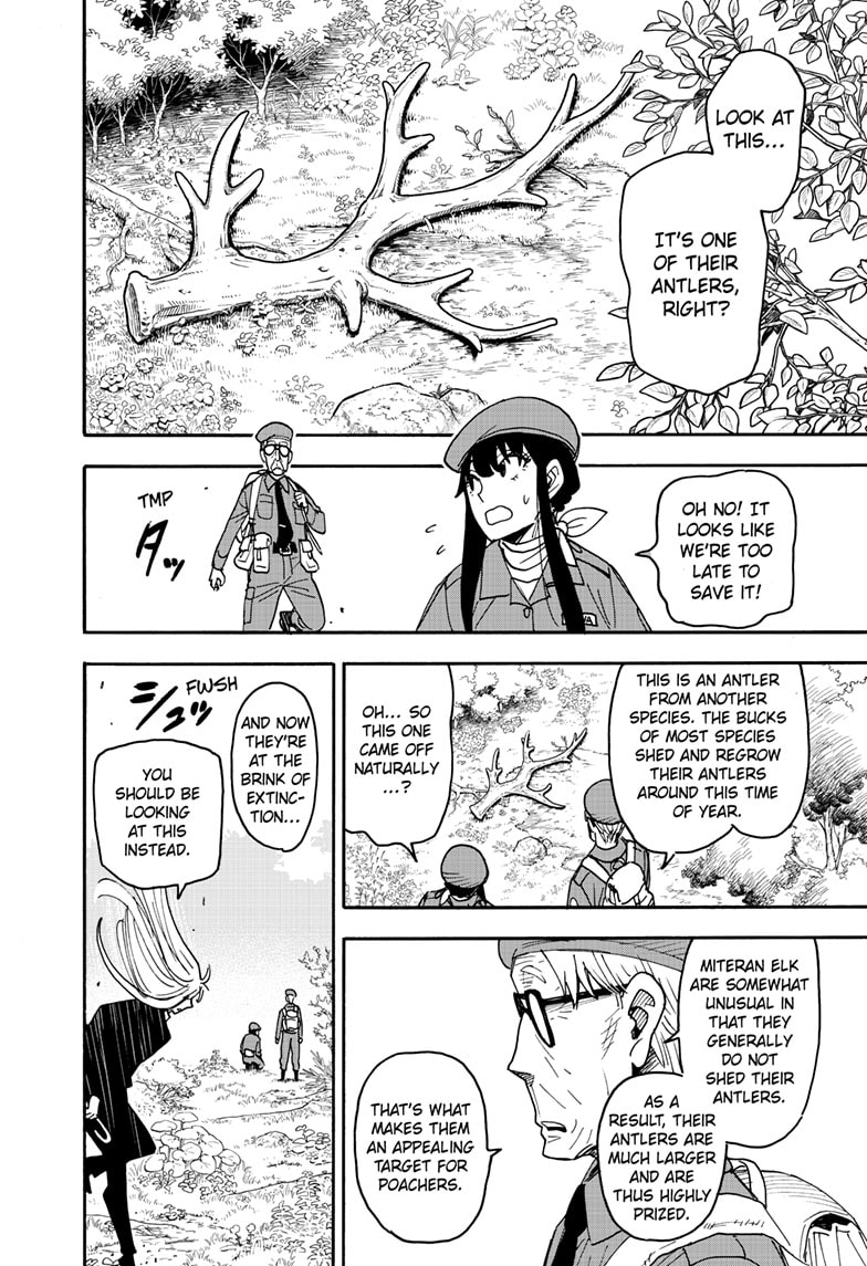 Read Spy x Family ENGLISH Manga Online