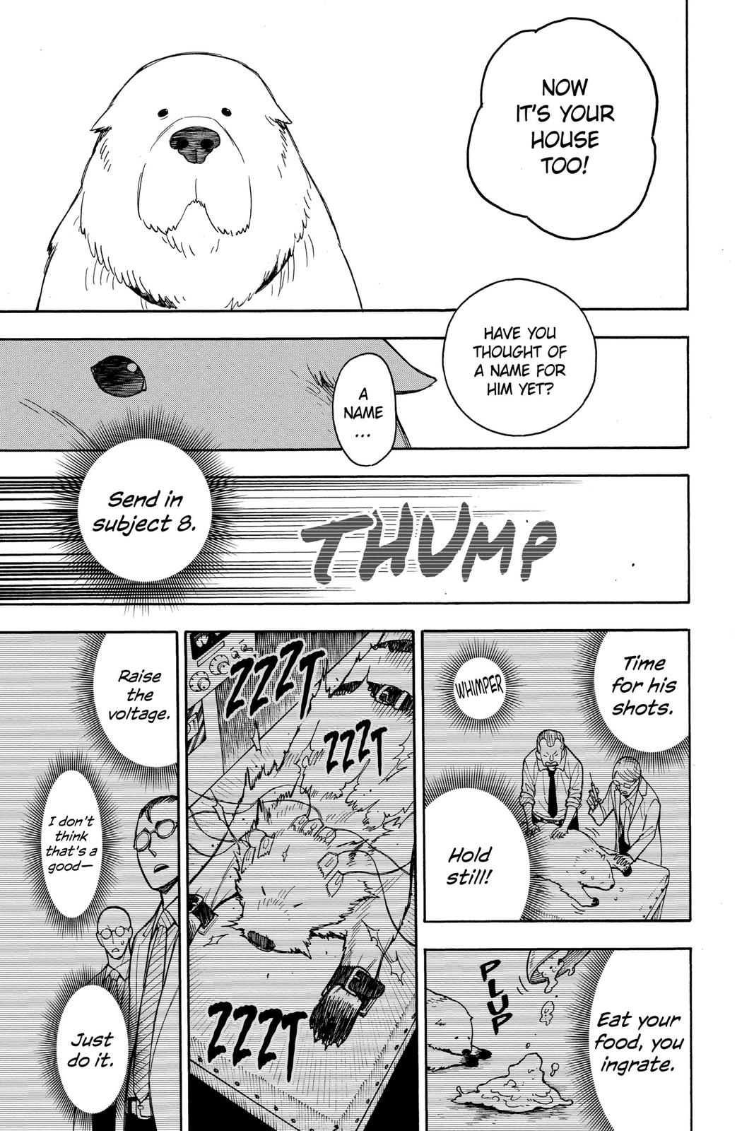 Read Spy x Family ENGLISH Manga Online