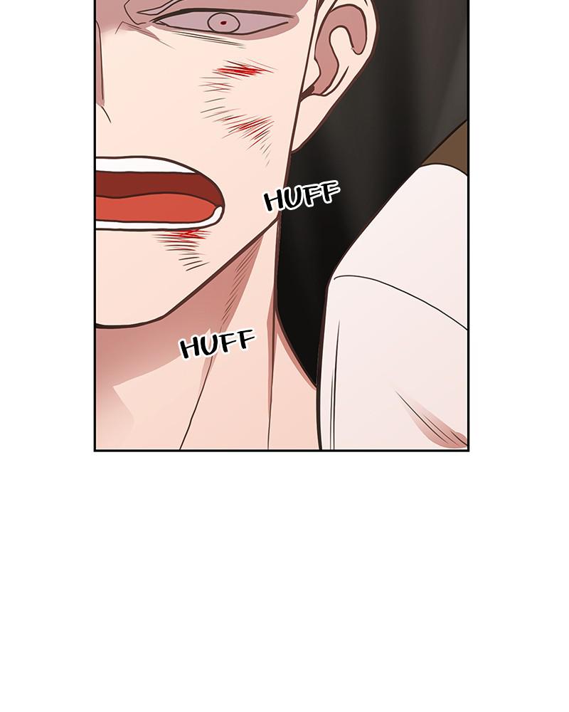 Read The Boxer ENGLISH Manga Online